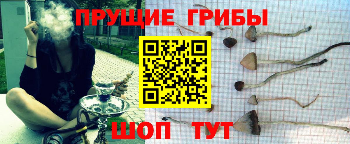 Псилоцибиновые грибы Psilocybine cubensis  купить наркоту  Галлюциногенные грибы ЛСД  Баксан  Вход с VPN 