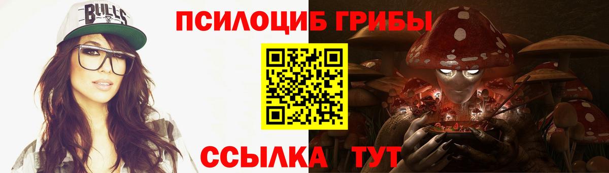 Галлюциногенные грибы Psilocybine cubensis Баксан